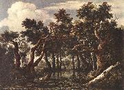 Jacob van Ruisdael The Marsh in a Forest oil painting